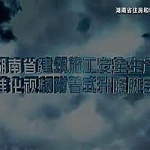 安全生产标准化系列-附着式升降脚手架