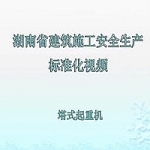 安全生产标准化系列-塔式起重机