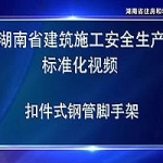 安全生产标准化系列-扣件式钢管脚手架