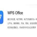 WPS 2019 ProPlus办公软件