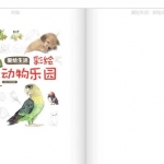 精装全彩—爱绘生活-彩绘动物乐园