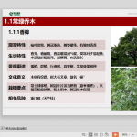 建筑工程软质景观工程施工及养护培训讲义（310页附图丰富）