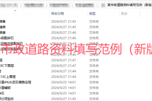 某市政道路资料填写范例（新版）