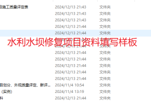 水利水坝修复项目资料填写样板（实例可参考）